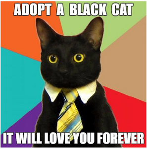 Celebrate Black Cat Appreciation Day with a message of love!