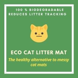 Top tips and alternatives for cleaning messy cat litter mats