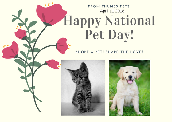 Happy National Pet Day 2018!