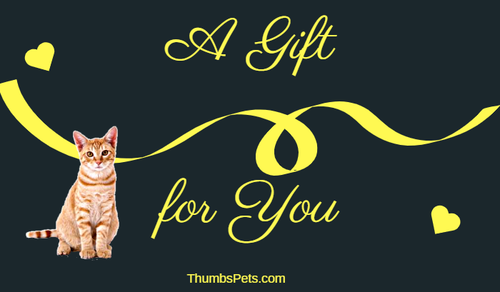 Gift Card - Gift Cards- Pets And Home Decor